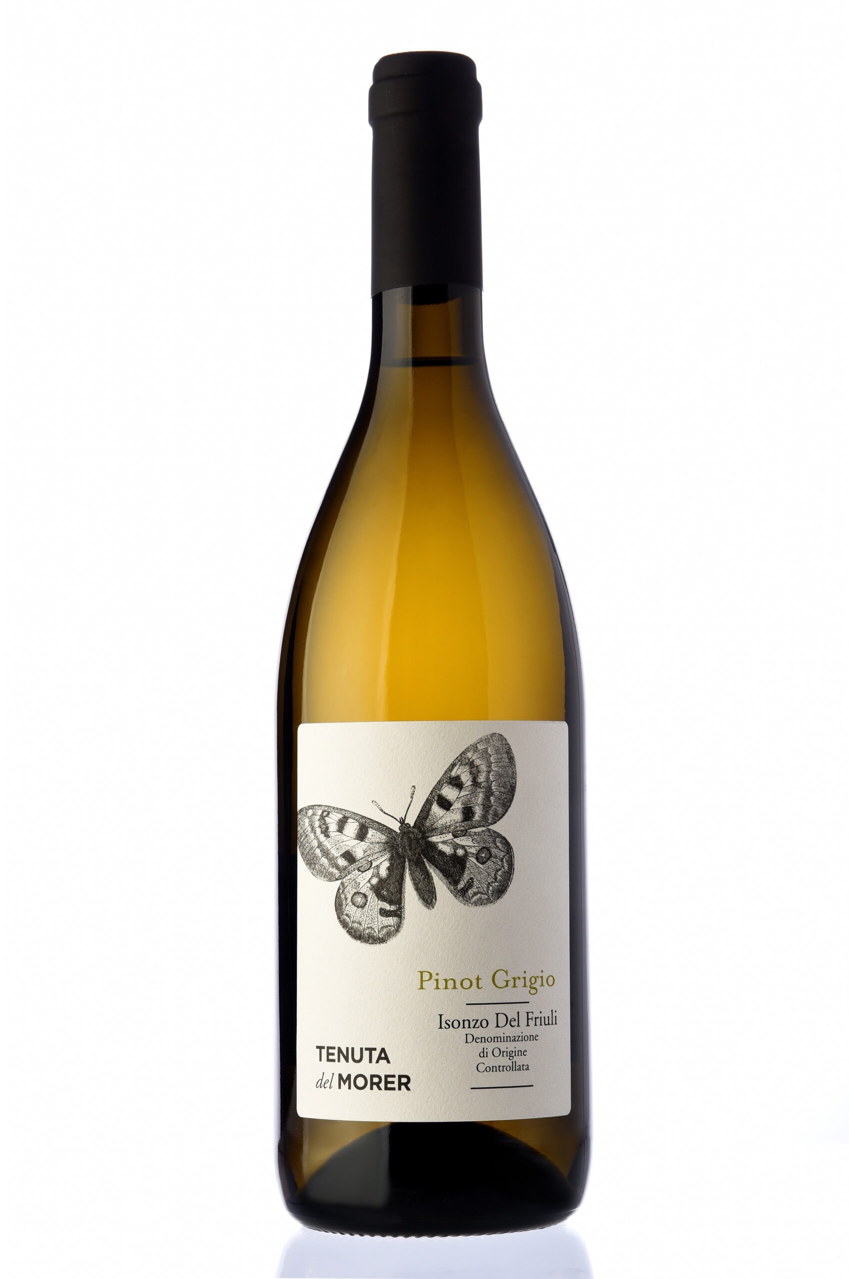 Pinot Grigio DOC Tenuta del Morer 125 075l scaled 1