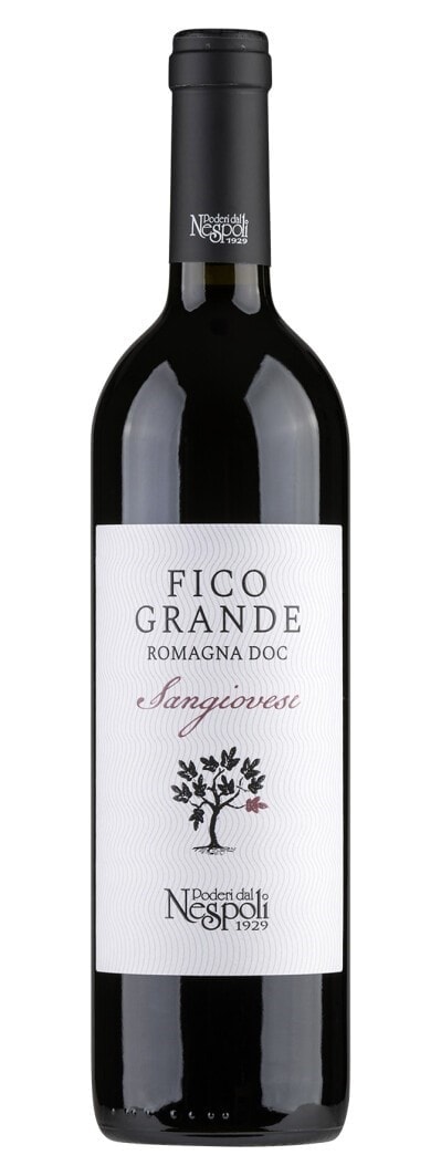 Sangiovese DOC Poderi dal Nestpoli Fico Grande 13 075l Bild 1